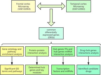 Identification of Molecular Signatures and Candidate Drugs in Vascular Dementia by Bioinformatics Analyses